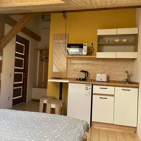 Lviv Apartments 